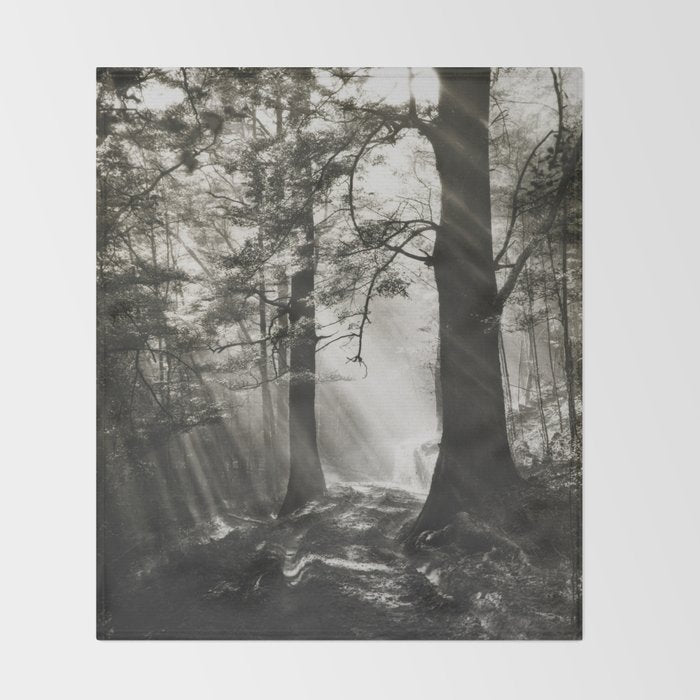 Pathway of light, sunlight and sunbeams in forest black and white photograph by J W Chapman Taylor Throw Blanket Gallery Image 2