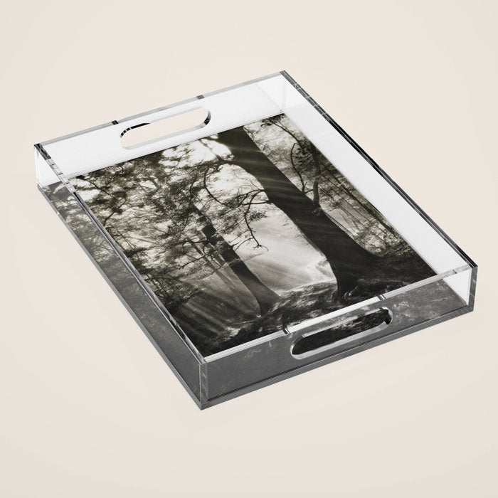 Pathway of light, sunlight and sunbeams in forest black and white photograph by J W Chapman Taylor Acrylic Tray Gallery Image 1