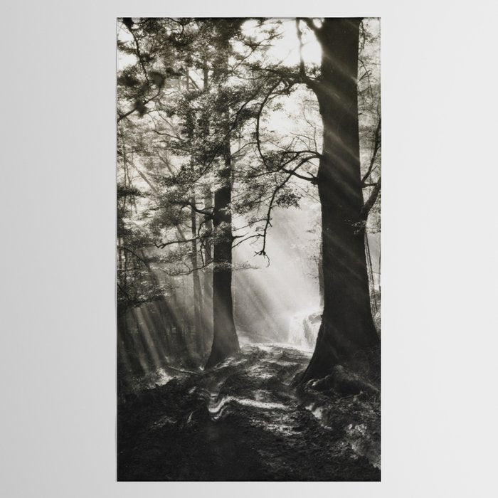 Pathway of light, sunlight and sunbeams in forest black and white photograph by J W Chapman Taylor Tablecloth Gallery Image 2