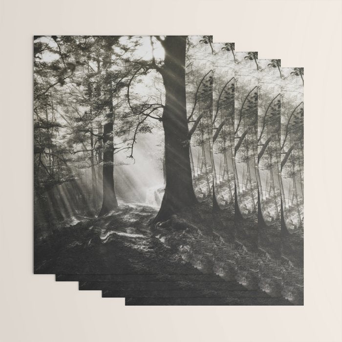 Pathway of light, sunlight and sunbeams in forest black and white photograph by J W Chapman Taylor Wrapping Paper Gallery Image 3