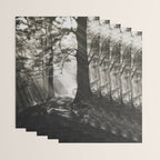 Pathway of light, sunlight and sunbeams in forest black and white photograph by J W Chapman Taylor Wrapping Paper Gallery Image 3