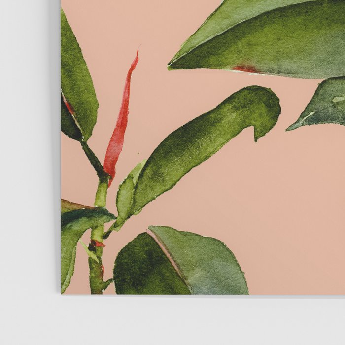 Botanical Collection 01 Poster Gallery Image 3