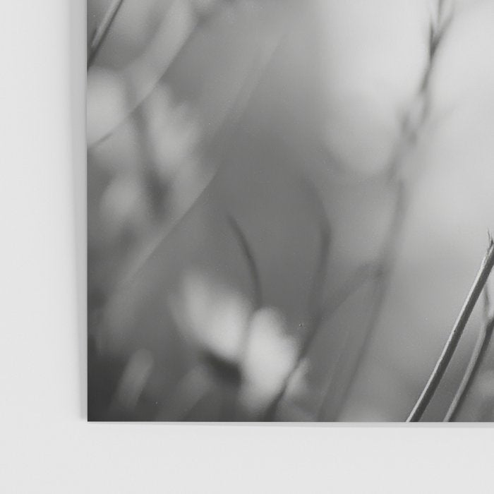 Whispers in Bloom I Poster Gallery Image 3