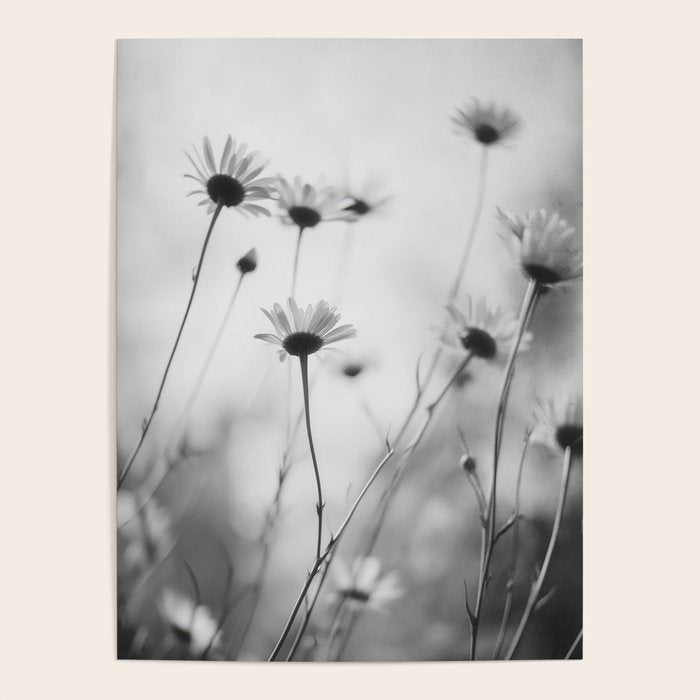 Whispers in Bloom I Poster Gallery Image 4