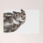 Owl Welcome Mat Gallery Image 1