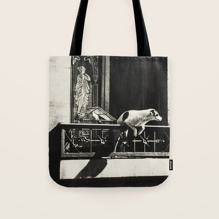 Paris, 1926, Dog out of Window Paris France black and white photograph Tote Bag Gallery Image 1
