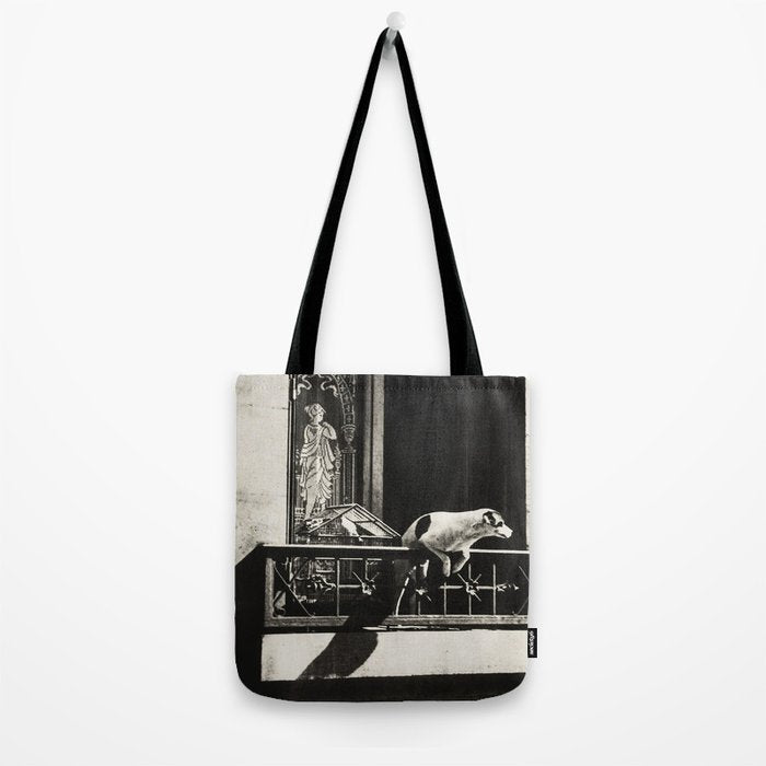 Paris, 1926, Dog out of Window Paris France black and white photograph Tote Bag Gallery Image 2