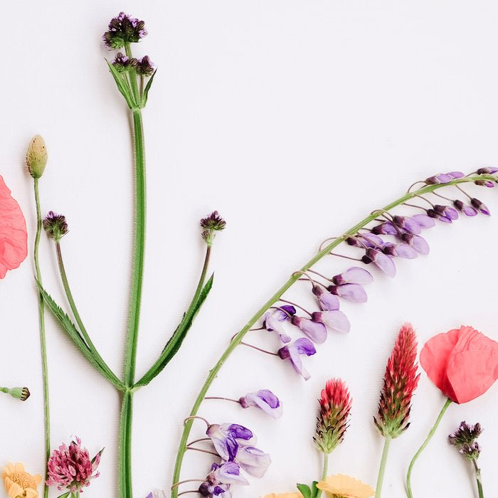 Flowers Flat Lay - Colorful Mixed Wildflowers - Poppies - Floral Coffee Mug Gallery Image 2