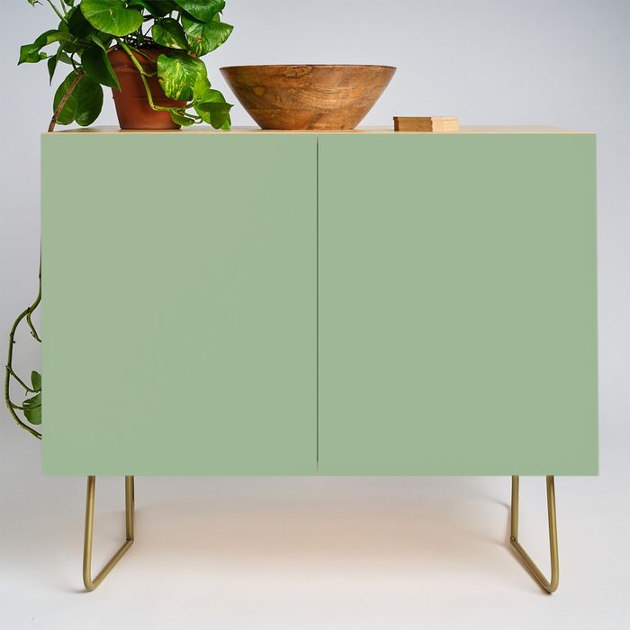 Solid Color SAGE GREEN  Credenza Gallery Image 1