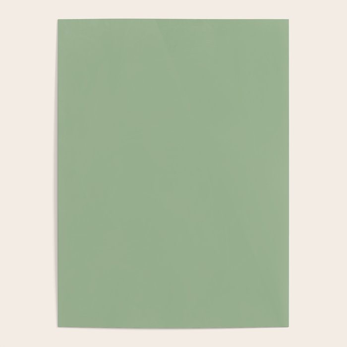 Solid Color SAGE GREEN  Poster Gallery Image 4