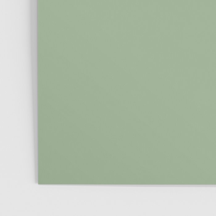 Solid Color SAGE GREEN  Poster Gallery Image 3