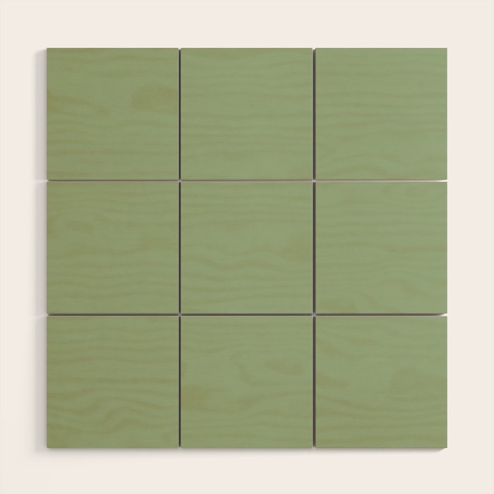 Solid Color SAGE GREEN  Wood Wall Art Gallery Image 1