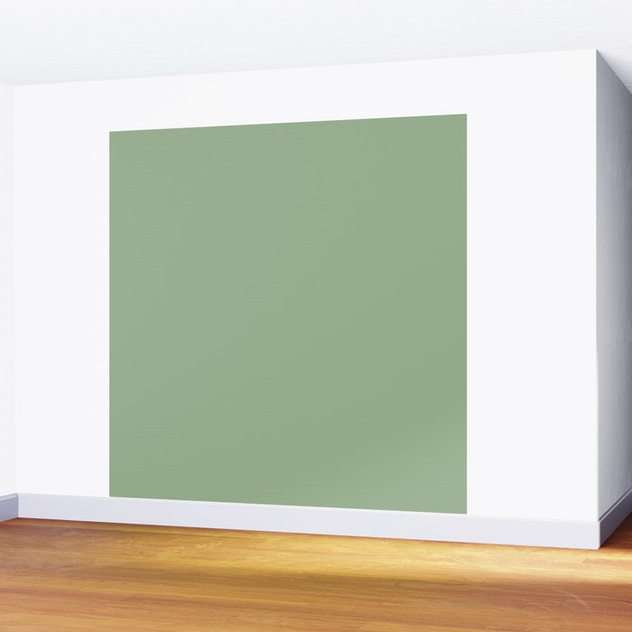 Solid Color SAGE GREEN  Wall Mural Gallery Image 2