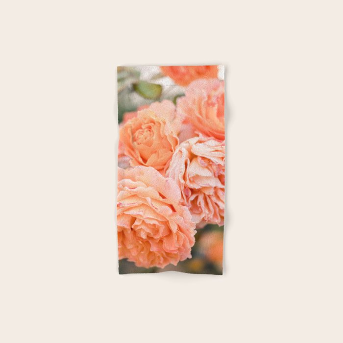Coral Roses | Ostuni botanical garden photography | Puglia Italy Bath Towel Gallery Image 1