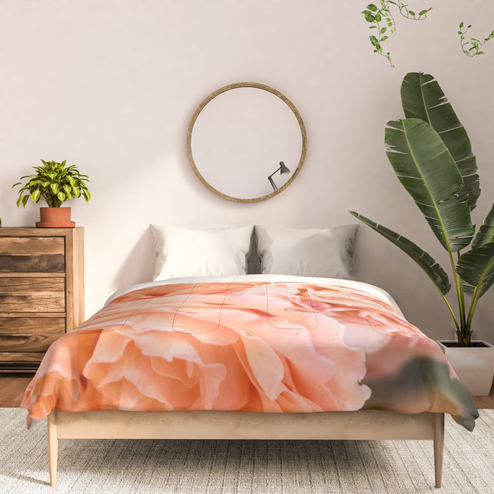 Coral Roses | Ostuni botanical garden photography | Puglia Italy Comforter Gallery Image 3