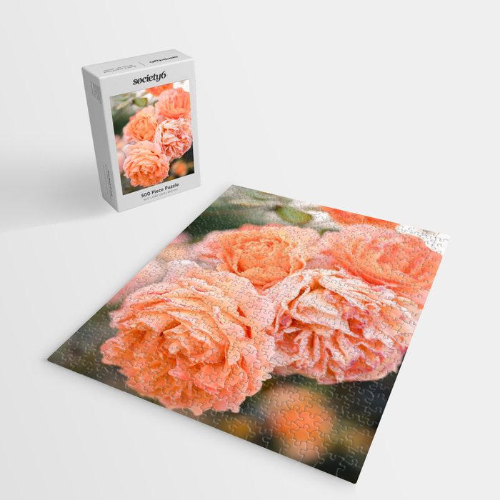 Coral Roses | Ostuni botanical garden photography | Puglia Italy Jigsaw Puzzle Gallery Image 2