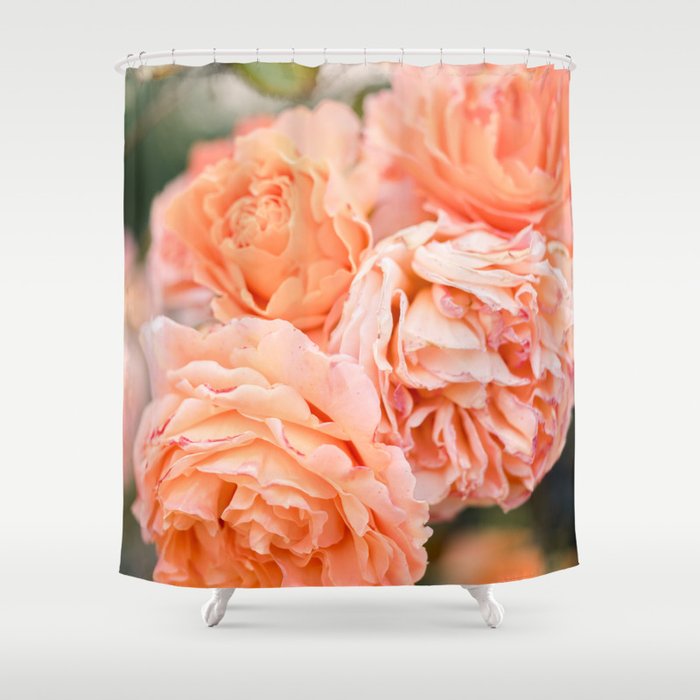 Coral Roses | Ostuni botanical garden photography | Puglia Italy Shower Curtain Gallery Image 1