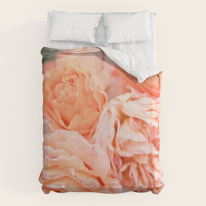 Coral Roses | Ostuni botanical garden photography | Puglia Italy Comforter Gallery Image 1