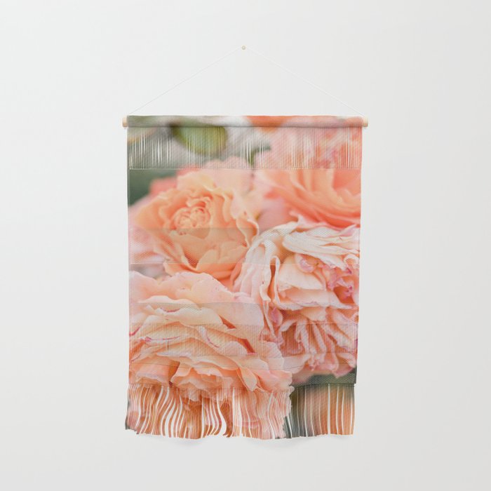 Coral Roses | Ostuni botanical garden photography | Puglia Italy Wall Hanging Gallery Image 1