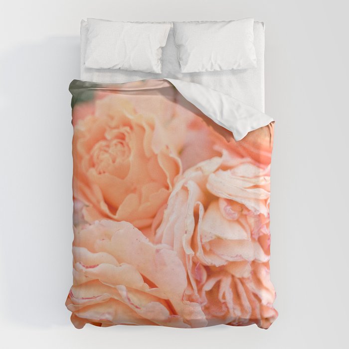 Coral Roses | Ostuni botanical garden photography | Puglia Italy Duvet Cover Gallery Image 1