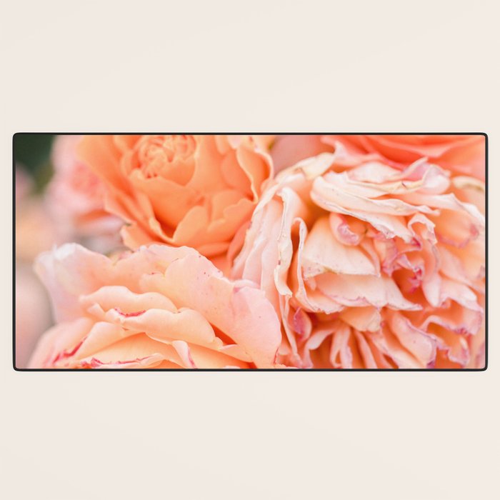 Coral Roses | Ostuni botanical garden photography | Puglia Italy Desk Mat Gallery Image 3