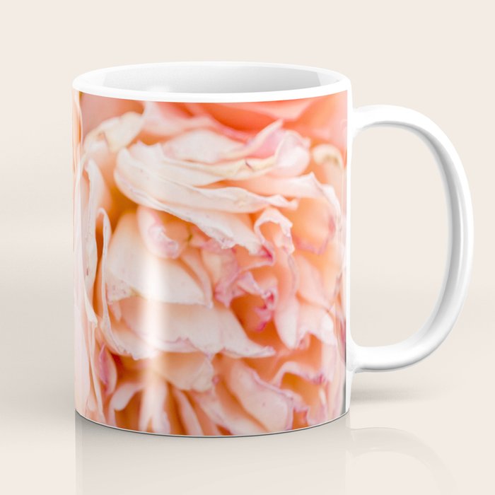 Coral Roses | Ostuni botanical garden photography | Puglia Italy Coffee Mug Gallery Image 1