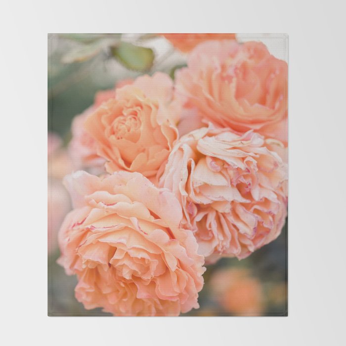 Coral Roses | Ostuni botanical garden photography | Puglia Italy Throw Blanket Gallery Image 2