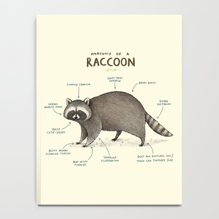 Anatomy of a Raccoon Notebook Gallery Image 4