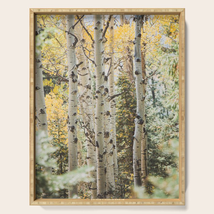 Colorful Colorado II x Golden Aspens Serving Tray Gallery Image 1