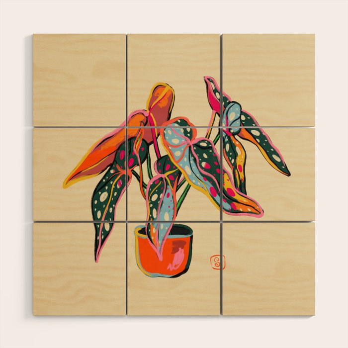 COLOURFUL BEGONIA PLANT  Wood Wall Art Gallery Image 1