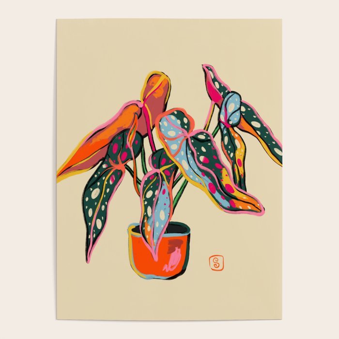 COLOURFUL BEGONIA PLANT  Poster Gallery Image 1
