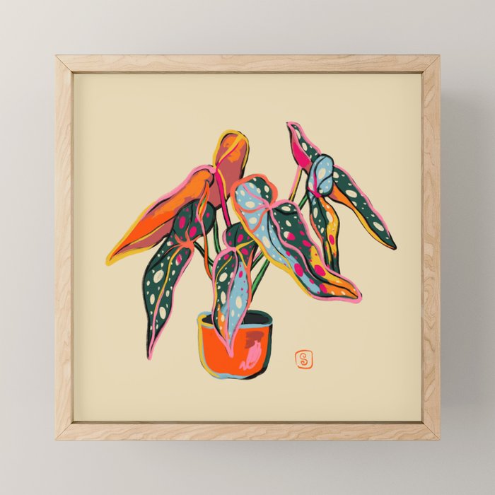 COLOURFUL BEGONIA PLANT  Mini Art Print Gallery Image 1