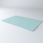 Robin's Egg Aqua Blue Rug Gallery Image 3