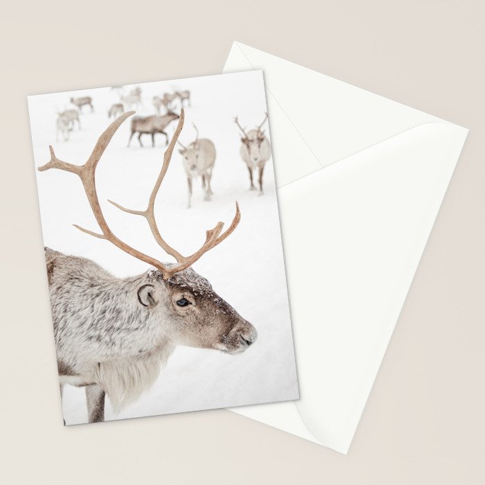 Reindeer With Antlers Art Print | Tromsø Norway Animal Snow Photo | Arctic Winter Travel Photography Stationery Card Gallery Image 2