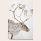 Reindeer With Antlers Art Print | Tromsø Norway Animal Snow Photo | Arctic Winter Travel Photography Cutting Board Gallery Image 1