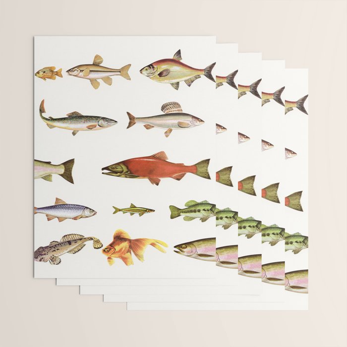 Fishing Line Wrapping Paper Gallery Image 3