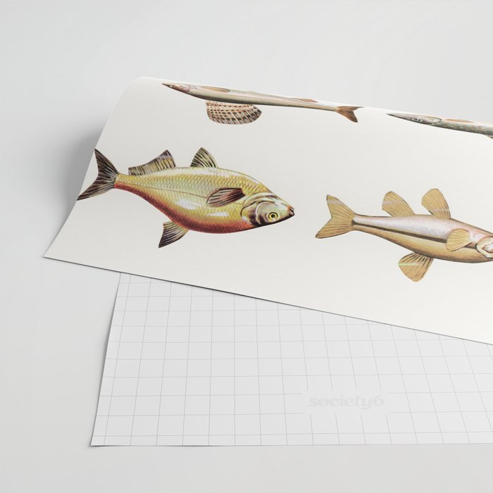 Fishing Line Wrapping Paper Gallery Image 2