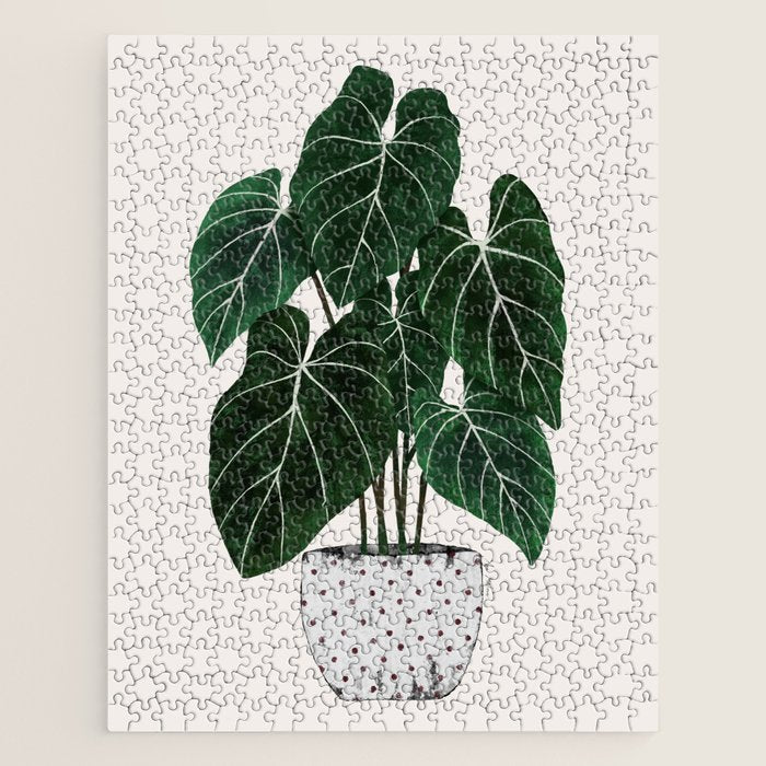 philodendron pot plant Jigsaw Puzzle