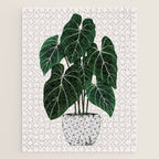 philodendron pot plant Jigsaw Puzzle Gallery Image 1