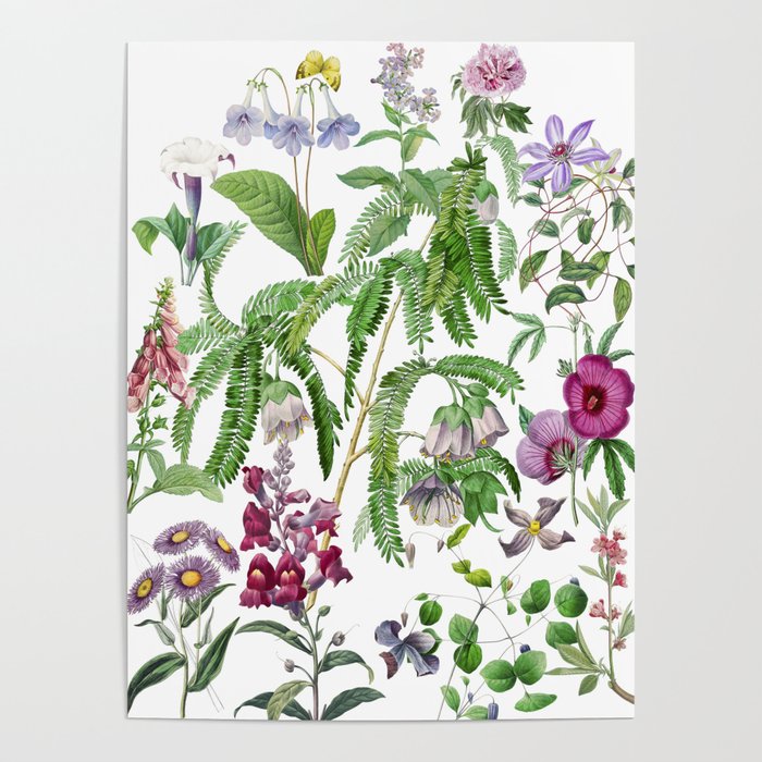 Purple Mimosa Poster Gallery Image 1