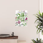 Purple Mimosa Poster Gallery Image 2