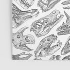 Paleontology Dream Poster Gallery Image 3
