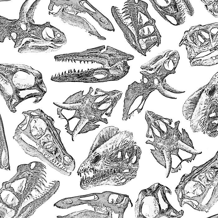 Paleontology Dream Coffee Mug Gallery Image 2