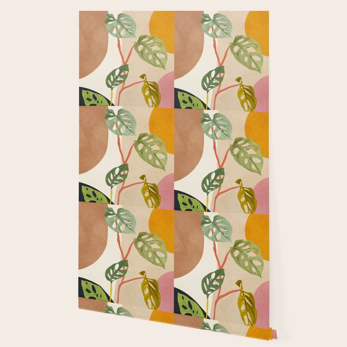 Monstera Obliqua 01 Wallpaper Gallery Image 2
