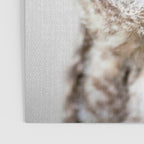 Baby Owl - Colorful Poster Gallery Image 3