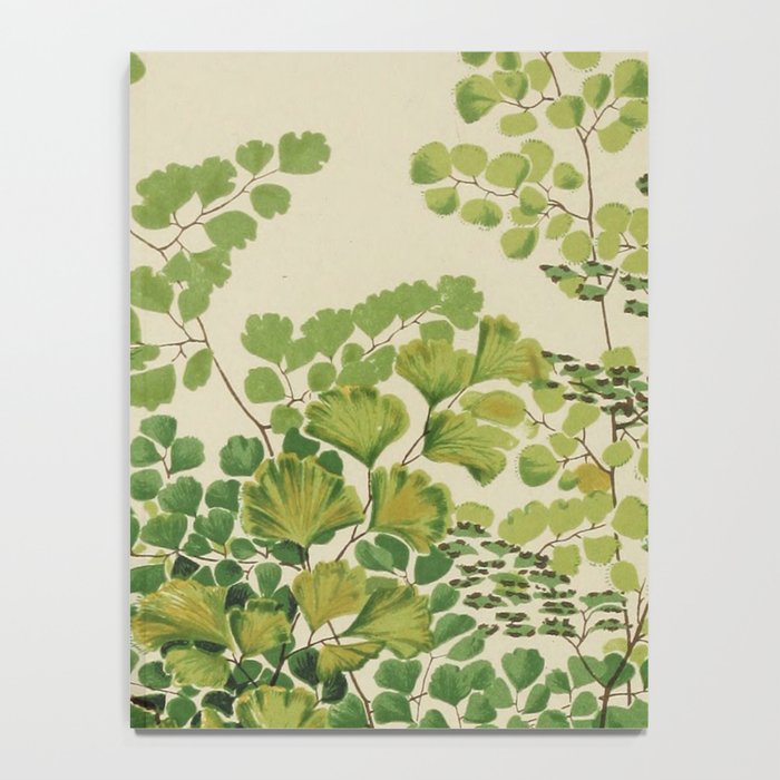 Maidenhair Ferns Notebook Gallery Image 4