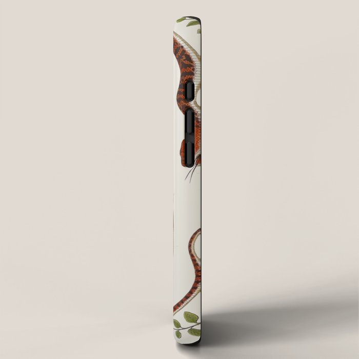 Snakes by Albertus Seba iPhone Case Gallery Image 2