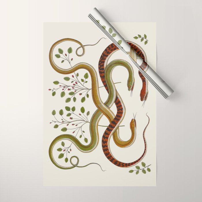 Snakes by Albertus Seba Wrapping Paper Gallery Image 1