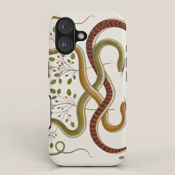 Snakes by Albertus Seba iPhone Case Gallery Image 1