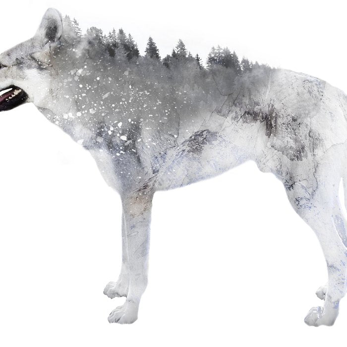 Winter Wolf Coffee Mug Gallery Image 2